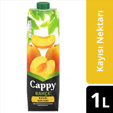 CAPPY 1/5 KAYISI 