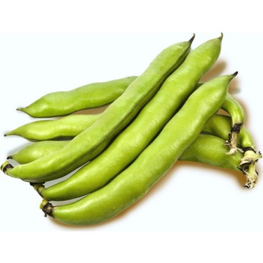 BAKLA(KG)